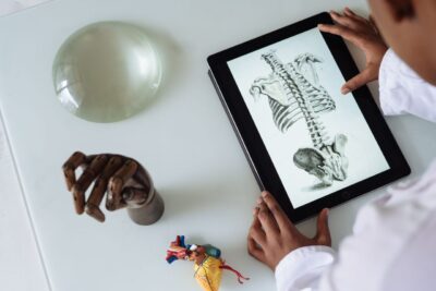 From above of crop student wearing lab coat and studying human skeleton and tissue while surfing tablet at table in science center